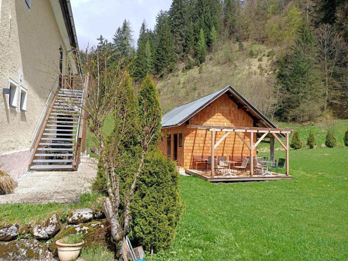 Appartements Bergheim Hirschbuhel المظهر الخارجي الصورة